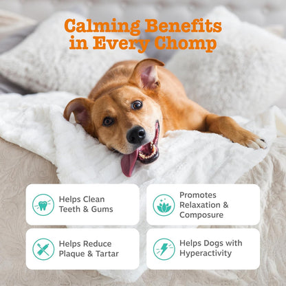 Calming Dental Chews for Dogs – Stress Relief Sticks for Healthy Teeth & Gums – 25 oz